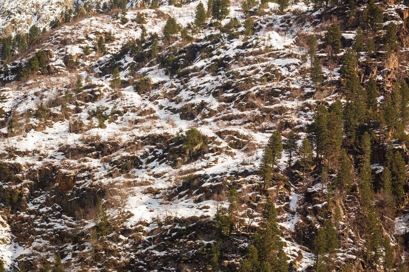 Mountain Expedition